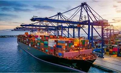 40-Foot Shipping Container Dimension, Capacity, and Shipping Guide